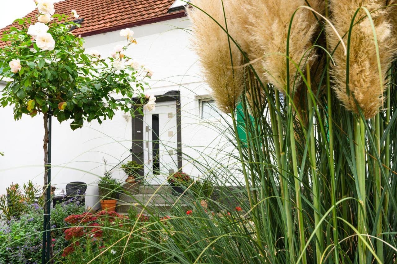 Ferienwohnung Annas Oase Meckenheim  Exterior foto